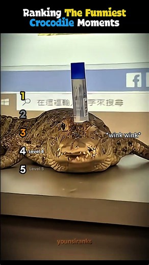 Ranking The Funniest Crocodile Moments
