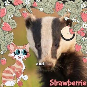 S0E1: Drawing Every Single Warrior Cats Character in Chronological Order - Midnight the Badger 🦡
