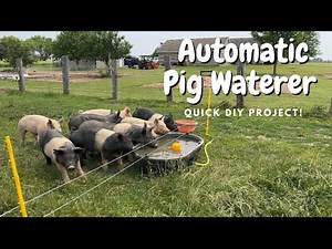 How to make an Automatic Pig Waterer. Quick DIY project using Jobe Megaflow Valve
