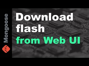 Download flash from Web UI