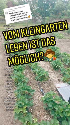 Small Garden Vegetable Growing Tips