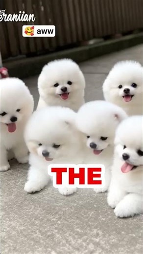 Standing Still Does Something Unexpected #shorts #viral #experiment