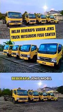 Several Mitsubishi Fuso Canter Variants #cantermania #cantermodification #cantercomunity