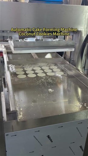 Automatic Cake Forming Machine、Coconut Cookies Machine