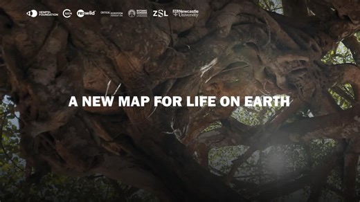 #biodiversity #conservation #iucnwcc #hotspots #nature | Hempel Foundation