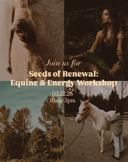 healing with hails on Instagram: "🌱 Seeds of Renewal: Equine + Energy Workshop March 22, 2026 | 10:00 AM – 3:00 PM Join us for a heart-centered day of connection, reflection, and renewal as we welcome the energy of spring together. Seeds of Renewal is an immersive experience blending equine-assisted wellness and gentle energy practices to support nervous system regulation, grounding, and personal growth. Just as the earth awakens in spring, this workshop invites you to plant new intentions, rel