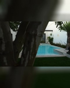 39K views · 246 reactions | ¿Quieres tener una alberca en casa? Checa este video en el que te mostramos una alberca construida por el equipo de Albercas Aqua. El diseño y la construcción de albercas es nuestra especialidad. ¿Quieres tu propia isla tropical en casa? ¡Contáctanos! ✨ | Albercas Aqua | Facebook