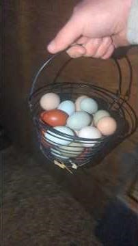 Did We Get The Precise Amount Of Eggs We Needed Today?