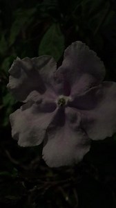 32 reactions · 4 comments | As the sun goes down, the rain is falling. I love the sound . It can lull you to sleep ! Check in with us NBC 7 San Diego News Today starting at 4:30 am in the morning on TV or on livestream : https://www.nbcsandiego.com/news/local/NBC-7-News-Live-Stream-Mobile-209691771.html or : nbc7.com/weather | Marianne Kushi NBC 7 San Diego | Facebook