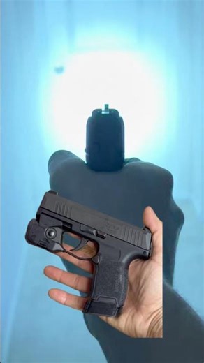 Streamlight Tlr6 on sig p365