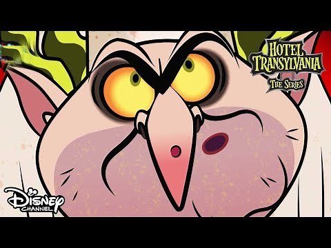 Cooking with Quasimodo 🌮 | Hotel Transylvania | Official Disney Channel Africa