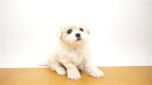 2026010745005_ext_34_0