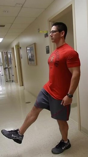 Single Leg Decline Squat