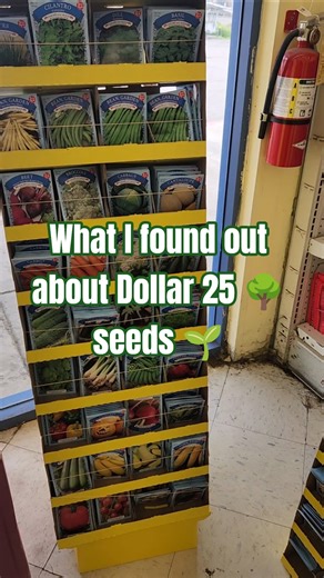 Ways to save money gardening and do they work? #gardening #dollartree #dollartreeseeds #shorts