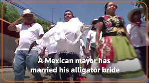 In age-old ritual, Mexican mayor weds alligator to secure abundance