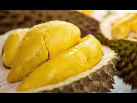 ドンナイに来たら必ず食べるべき7つの名物料理、ご存知ですか？