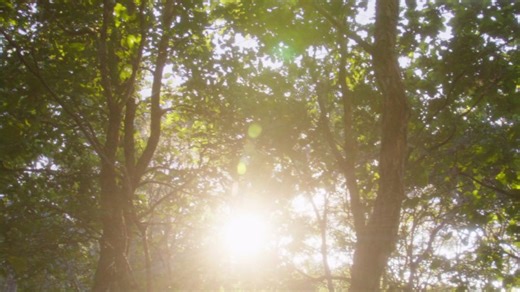 💔 When survival is no longer enough, how far will a mother go to protect her child? MIJA joins the lineup for NFMLA’s September 20th Monthly Film Festival | InFocus: Latin & Hispanic Cinema. This powerful short explores love, sacrifice, and the impossible choices families face when caught in the crossfire of violence and desperation. Mija Synopsis: Carmen and Roberto try to make ends meet with their mini-market, but they are being threatened by an extortionist. Although Carmen wants to pay up a