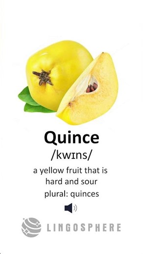 Learn English Vocabulary: Quince 🍐 | Meaning, Definition & Pronunciation for ESL Learners