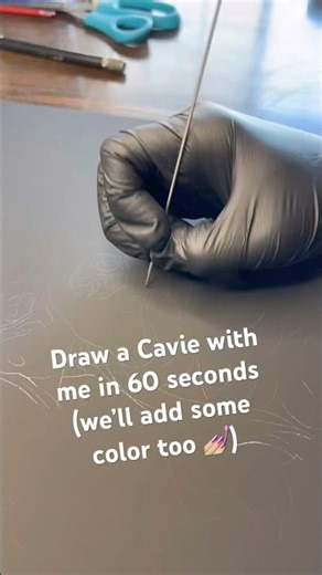 Full Timelapse - CKCS scratchboard drawing