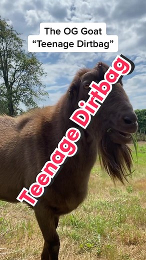 The Legendary Michael Scott: A Goat Man of Myth