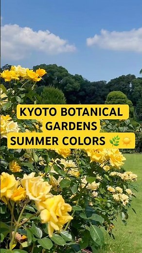 Summer Colors at Kyoto Botanical Gardens | A Walk Through Nature 🌿☀️