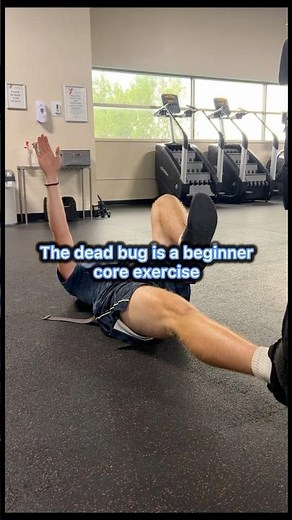 Dead Bug (beginner core exercise)