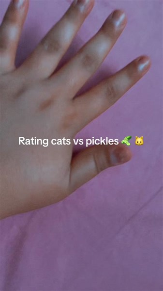 Ratimg all my cats vs pickles!