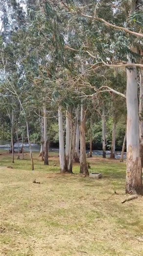 2.6K views · 67 reactions | É pedir muito!? 﫣️ | Camping Santa Cruz | Facebook