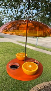 21K views · 119 reactions | Installing an Oriole Feeder in My Yard! | Texas Garden Guy | Facebook