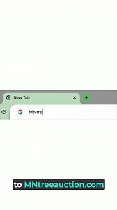 34 reactions · 3 comments | Over 2100 trees and plants selling now through Sept. 25th. Check out the complete catalog at MN-bid.com! | MNauction | Facebook