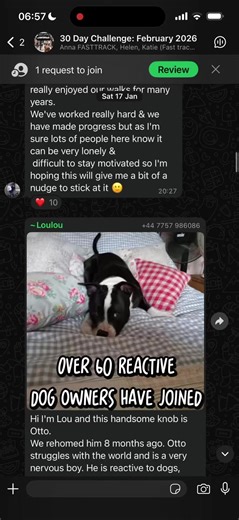 This is what 60 reactive dog owners looks like. Different dogs. Different stories. Same feeling: “Oh… it’s not just me.” These are some of the introductions from the 30-Day Challenge WhatsApp group. 🤦🏻‍♀️ People who’ve tried trainers, methods, courses… and still felt stuck. 🥱 People who are tired, emotional, and just want to do right by their dog. And before we’ve even started the work, they’re already saying the same thing: 👉 Being in this space alone is helping. No judgement. No egos. No “