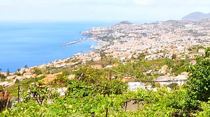Stop visiting Funchal without knowing this because it changes everything