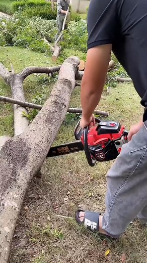 Massive Log Cutting for Firewood Prep! 👍 . . . #Chainsaw #WoodCutting #Firewood #LogCutting #Logger #StumpRemoval #DIYProjects #OddlySatisfying #USA #Reelsfb #Reels #Powertools #fblifestyle | Tree Cute
