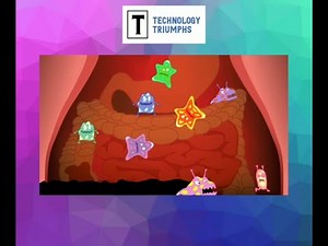 Level 1 Cookery - Food Bacteria