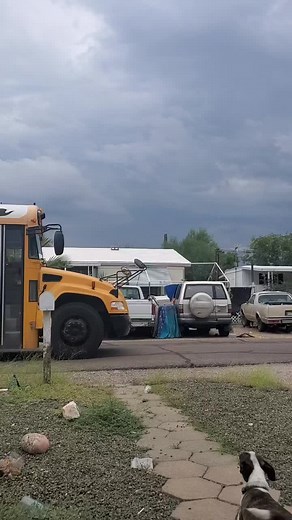 Brittanie Young on TikTok