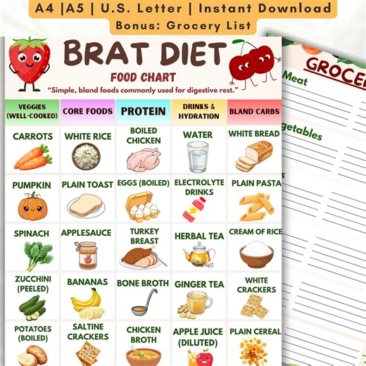 BRAT Diet Food Chart, Bland Foods Guide, Digestive Rest Diet Chart, Stomach Friendly Foods PDF, Printable Grocery List - Etsy Canada