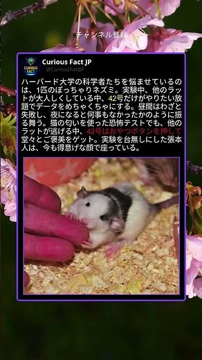 ハーバードを翻弄した、42号の反抗