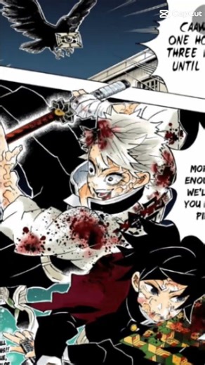 the final battle...#demonslayer #nezukochan #musicgenre #anime