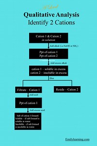 Qualitative Analysis For A Level Chemistry Practical - Testing For 2 Cations - Emily Learning