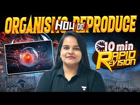 CBSE Class 10 Biology | How do Organisms Reproduce Rapid Revision | Reena Ma'am