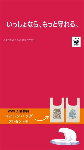WWF Japan on Reels | Facebook