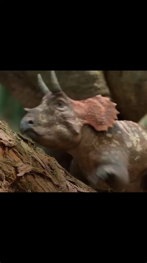 Exploring Prehistoric Dinosaurs: A Mesozoic Journey