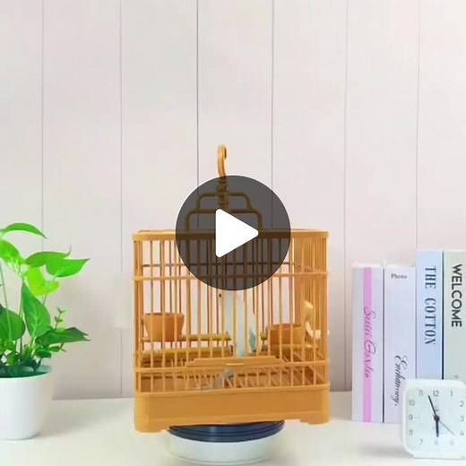 lòng chim khuyên, hút mật, sâu, tiểu my để bàn siêu xinh đủ phụ kiện😍