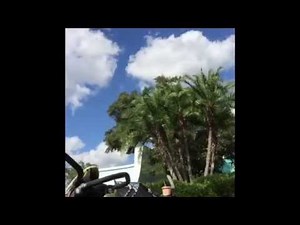 Disney World Fart Compilation