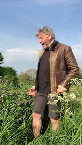 3.3K views · 395 reactions | Comfrey A wild flower that starts...