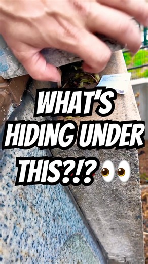 Can’t believe how MASSIVE this cache was once I found it! Travel Bug Hotel hidden in Nagoya Japan 😊