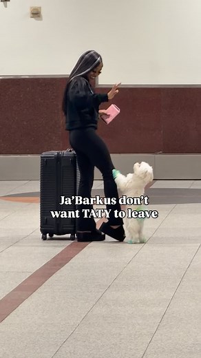 VANITY MAFIA on Instagram: "He do not like his ppl to leave ! @tatyannaxl we will see you in Houston"