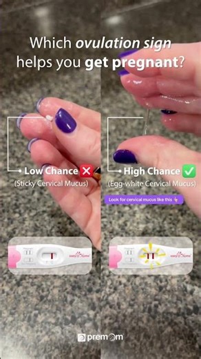 Egg White Cervical Mucus: A Sign of High Fertility?