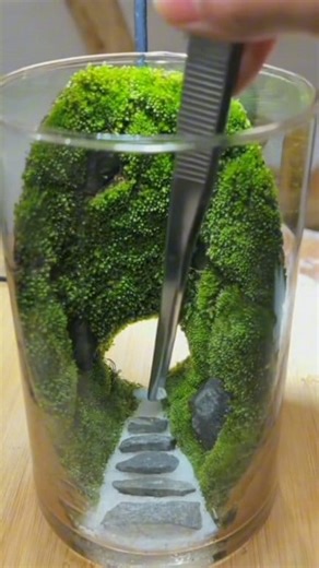 “Mini moss world in a glass — tiny green forest vibes, zero stress and 100�lm. 🌿✨”#MossMicroLandscape #MiniTerrarium #PlantDesign #DeskGarden #GreenZen #TinyNature #DIYBotanical #NatureInABottle #fblifestyle #foryoupageシ | The ideas