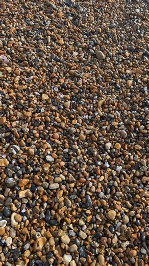 TUESDAY CARGO CONTAINER CONTENTS UPDATE! ⚠️ Thanks for all your messages asking where to beach clean today, but it looks like the seafront is in pretty good shape - absolutely as a result of the impressive and fast, cross-sector clean-up operation last week, you absolute heroes. 💙 THAT SAID, the ‘usual suspects’ (bits of plastic, fishing line, the odd plastic bottle) continue to wash-up so there’s always something to clean and collect - so please don’t let my report stop you! #BESAFE! YES BRIGH